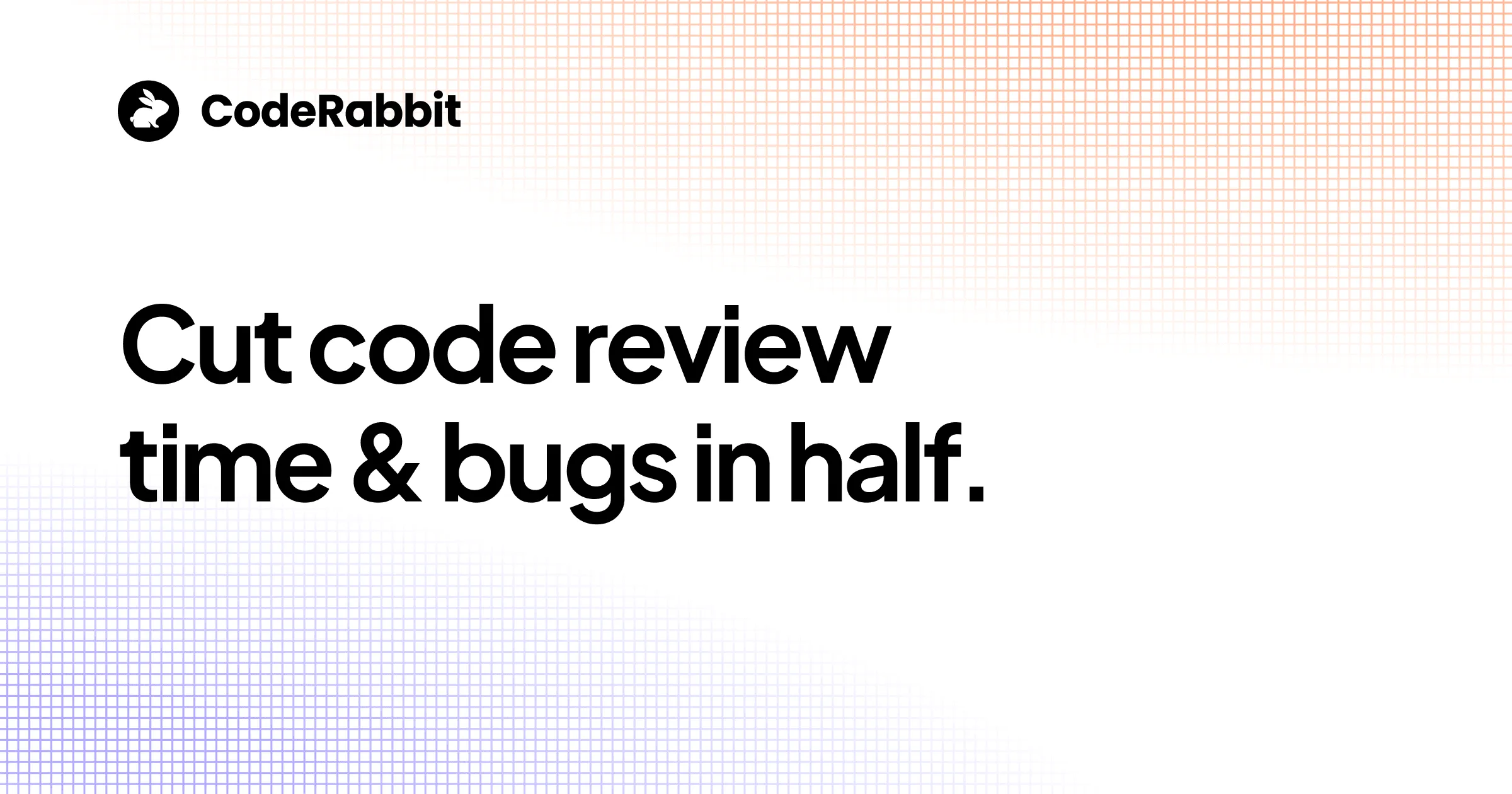 CodeRabbit product artwork
