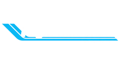 Microsoft Flight Simulator 2024 logo
